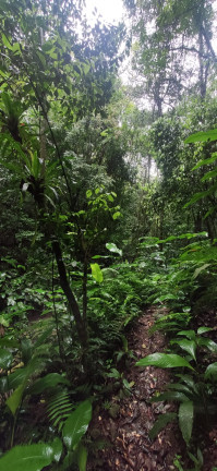 Imagem Terreno à Venda, em Santaninha - Pedras Grandes Imagem Terreno à Venda, em Santaninha - Pedras Grandes