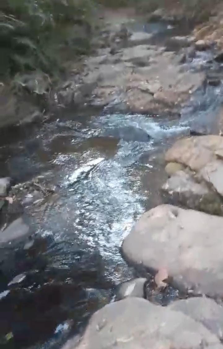 Imagem Fazenda à Venda, 65 Alq GOem ZONA RURAL - Córrego do Ouro Imagem Fazenda à Venda, 65 Alq GOem ZONA RURAL - Córrego do Ouro