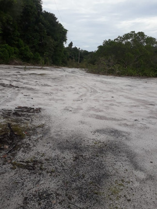 Imagem Chácara à Venda, 34.000 m² em Aparecida - Manacapuru