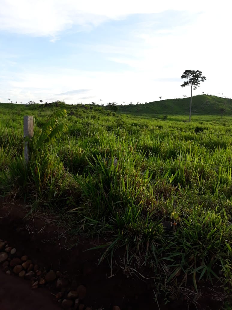 Imagem Fazenda à Venda, 9.399 m² em Centro - São Félix do Xingu Imagem Fazenda à Venda, 9.399 m² em Centro - São Félix do Xingu