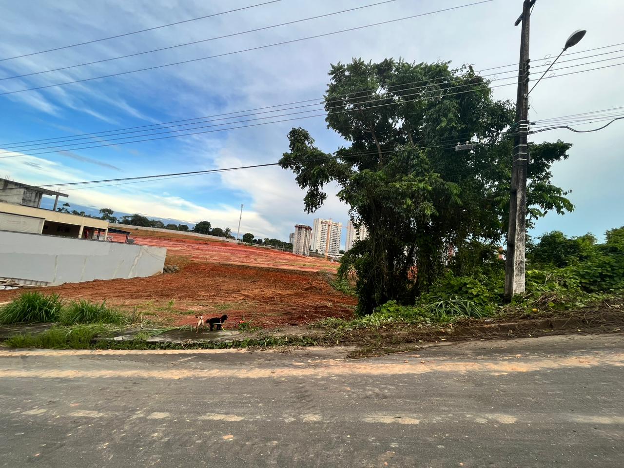 Imagem Terreno à Venda, 312 m²em Ponta Negra - Manaus