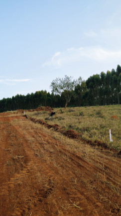 Imagem Terreno em Condomínio à Venda, 1.000 m² em Paruru - Ibiúna Imagem Terreno em Condomínio à Venda, 1.000 m² em Paruru - Ibiúna