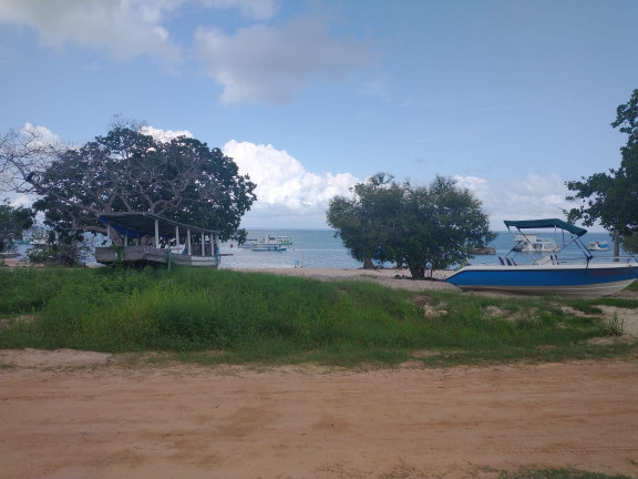 Imagem Terreno à Venda, 1.300 m² em Alter do Chão - Santarém