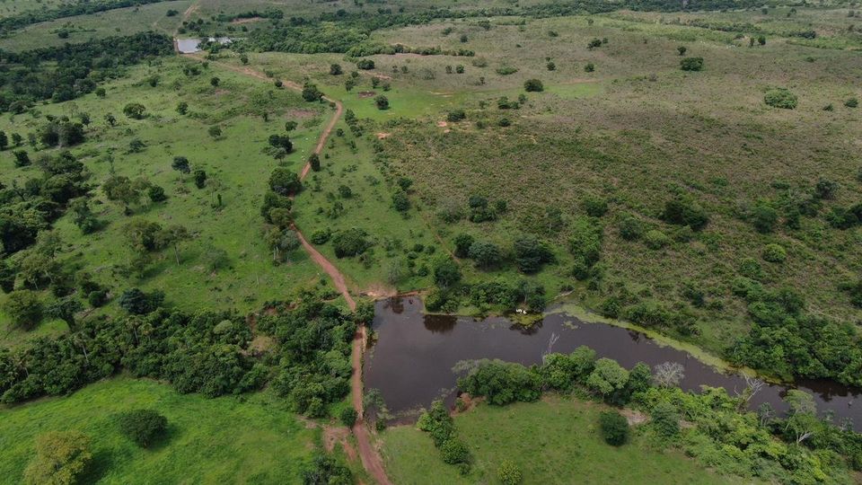 Imagem Fazenda à Venda, 435 Alq GOem Zona Rural - Novo Planalto