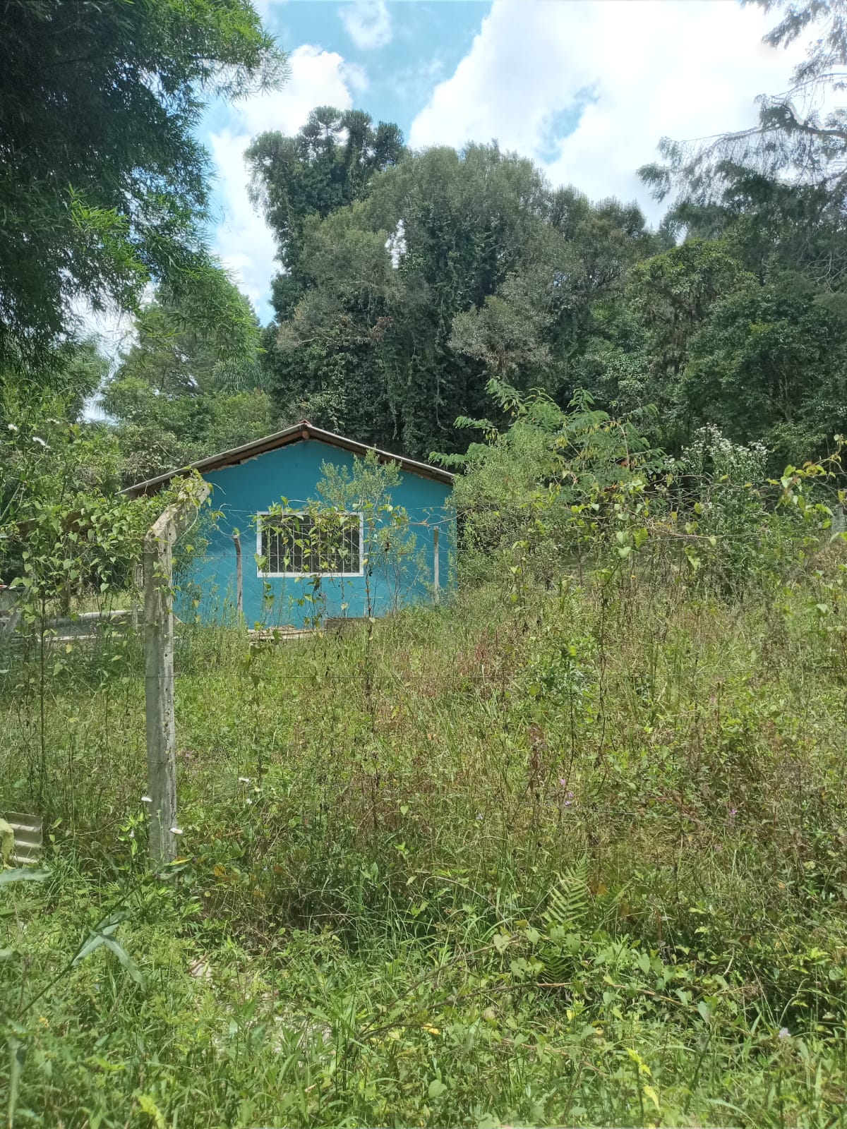 Imagem Terreno à Venda, 19.965 m² em Itália - São José dos Pinhais Imagem Terreno à Venda, 19.965 m² em Itália - São José dos Pinhais