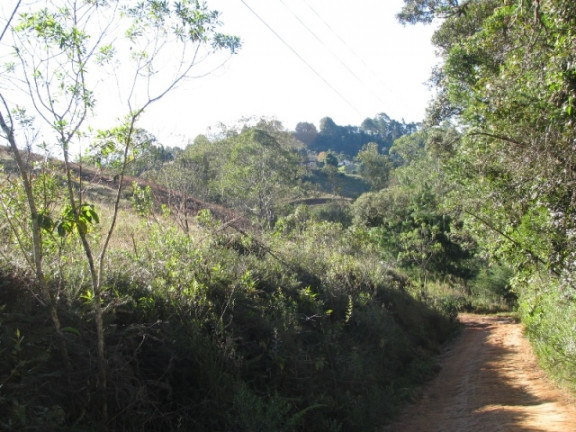 Imagem Terreno à Venda, 1.380 m² em Descansopolis - Campos do Jordão Imagem Terreno à Venda, 1.380 m² em Descansopolis - Campos do Jordão