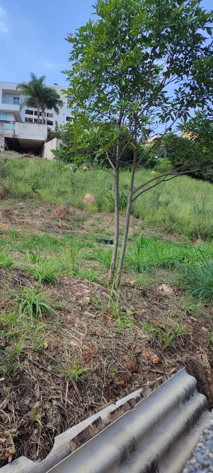 Imagem Terreno à Venda, 791 m²em Estoril - Belo Horizonte Imagem Terreno à Venda, 791 m²em Estoril - Belo Horizonte