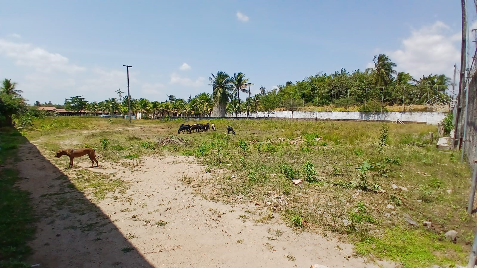 Imagem Casa com 3 Quartos à Venda, 1.000 m² em Siqueira - Maracanaú