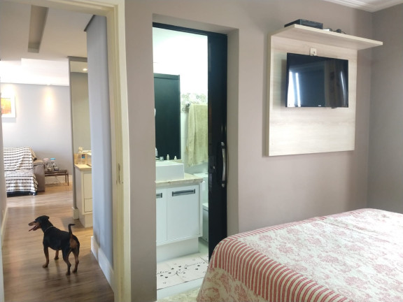 Imagem Apartamento com 3 Quartos à Venda, 72 m² em Jardim Luísa - São Paulo