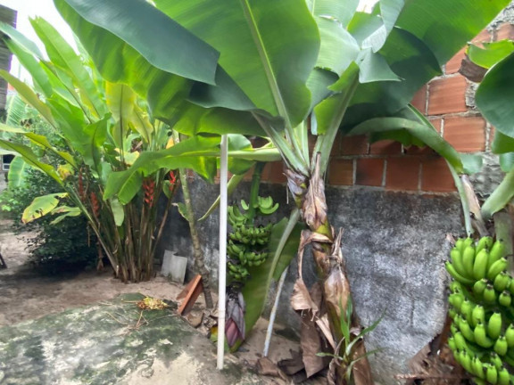 Imagem Casa com 3 Quartos para Alugar, 140 m² em Piedade - Jaboatão dos Guararapes