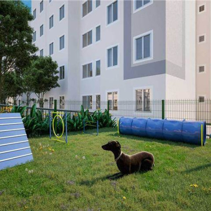 Imagem Apartamento com 2 Quartos à Venda, 44 m² em Guaratiba - Rio de Janeiro Imagem Apartamento com 2 Quartos à Venda, 44 m² em Guaratiba - Rio de Janeiro