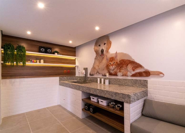 Imagem Apartamento com 2 Quartos à Venda,  em Cambuci - São Paulo