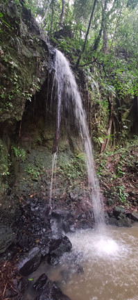 Imagem Terreno à Venda, em Santaninha - Pedras Grandes Imagem Terreno à Venda, em Santaninha - Pedras Grandes