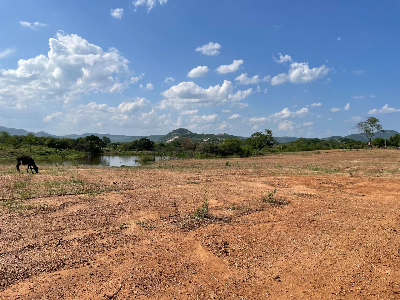 Terreno à Venda ou Locação, 1.000 m² em Zona Rural - Itaporanga