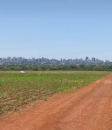 Imagem Fazenda à Venda,  em Gleba Ribeirão Maringá - Maringá