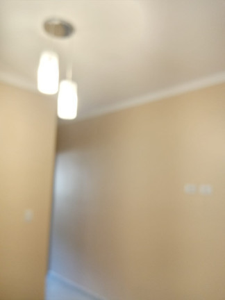 Imagem Apartamento com 1 Quarto à Venda, 33 m²em Vila Gustavo - São Paulo