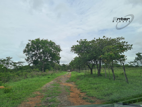 Imagem Fazenda à Venda, 24 HA em brazlandia - Brasília Imagem Fazenda à Venda, 24 HA em brazlandia - Brasília