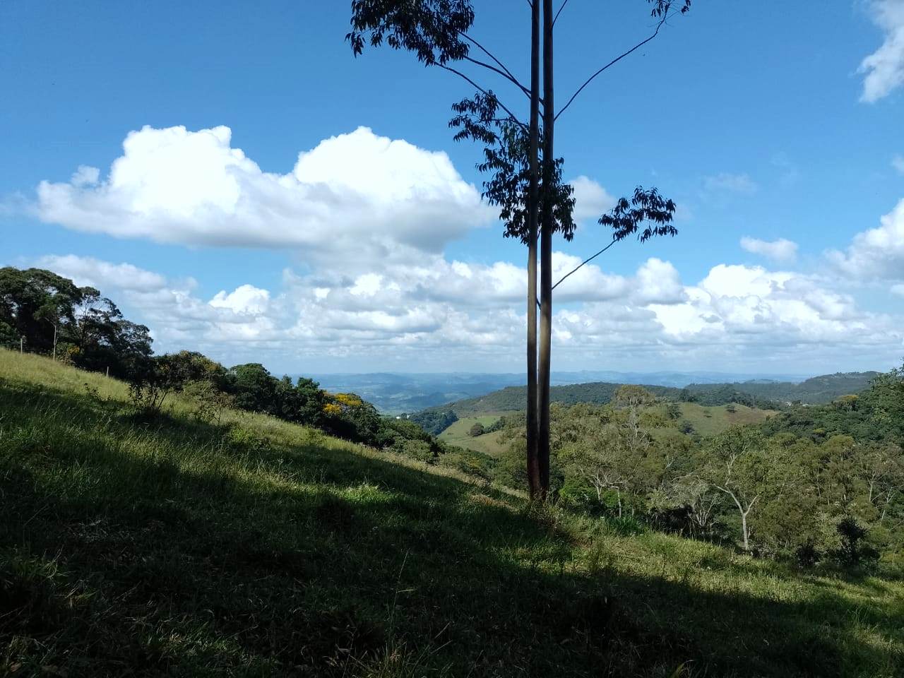 Imagem Chácara à Venda, 20.000 m² em Colinas - Poços de Caldas Imagem Chácara à Venda, 20.000 m² em Colinas - Poços de Caldas