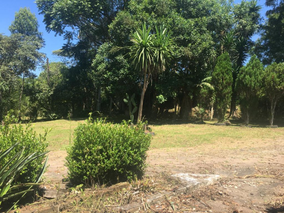 Imagem Chácara com 4 Quartos à Venda, 6.400 m² em RIO DA VARZEA - Agudos do Sul