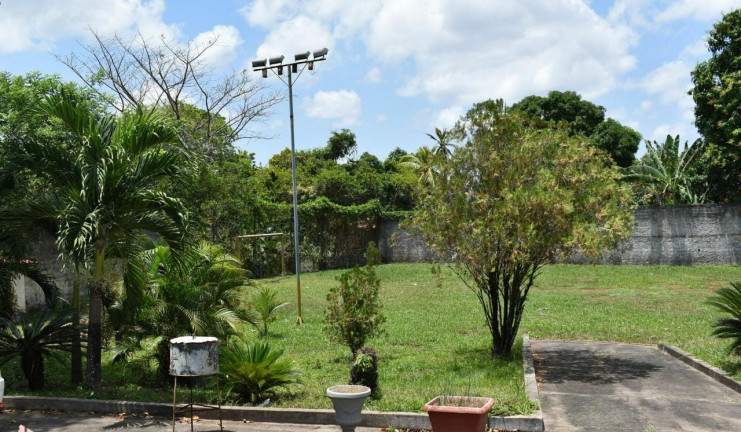Imagem Fazenda à Venda ou Locação, 300 m² em Vila Esperança - São Luís