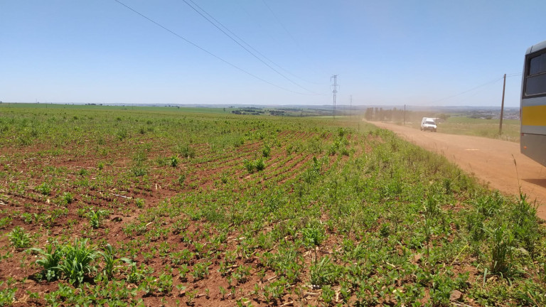 Imagem Fazenda à Venda,  em Gleba Ribeirão Maringá - Maringá