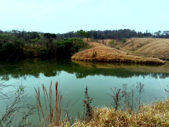Imagem Fazenda à Venda, 135 Alq SP em Rural - Caconde