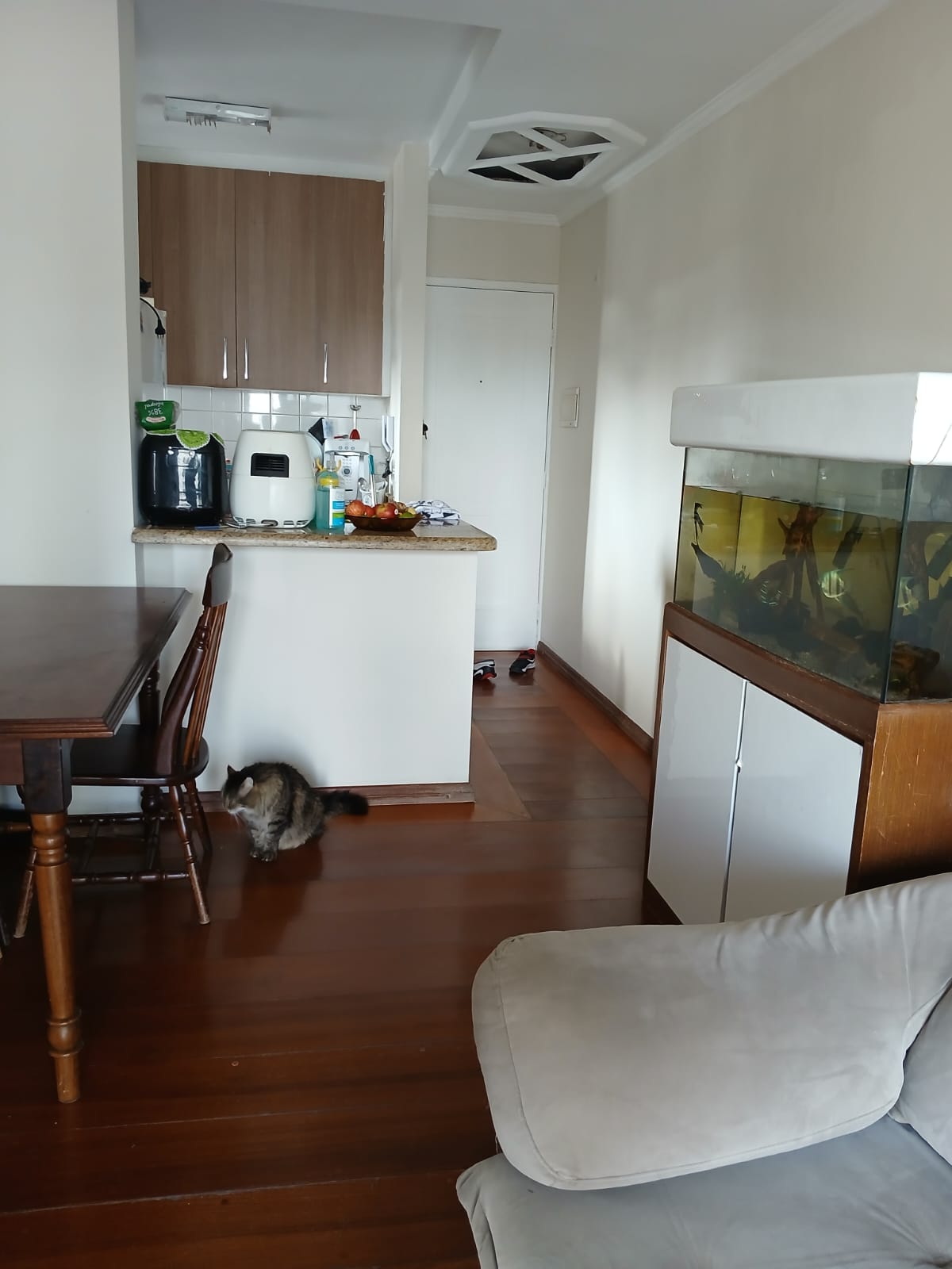 Imagem Apartamento com 2 Quartos à Venda, 62 m² em Assunção - São Bernardo do Campo