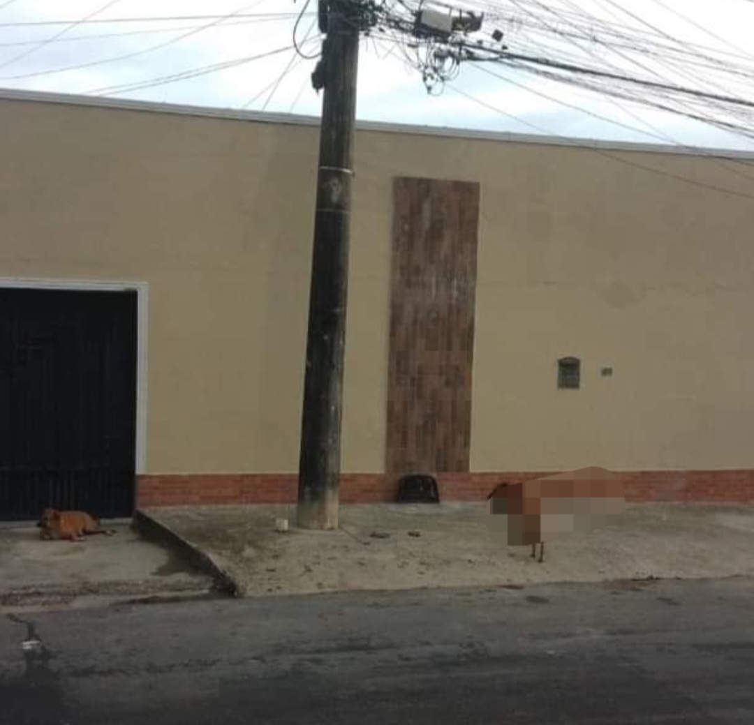Imagem Casa com 4 Quartos à Venda, 300 m²em Japiim - Manaus