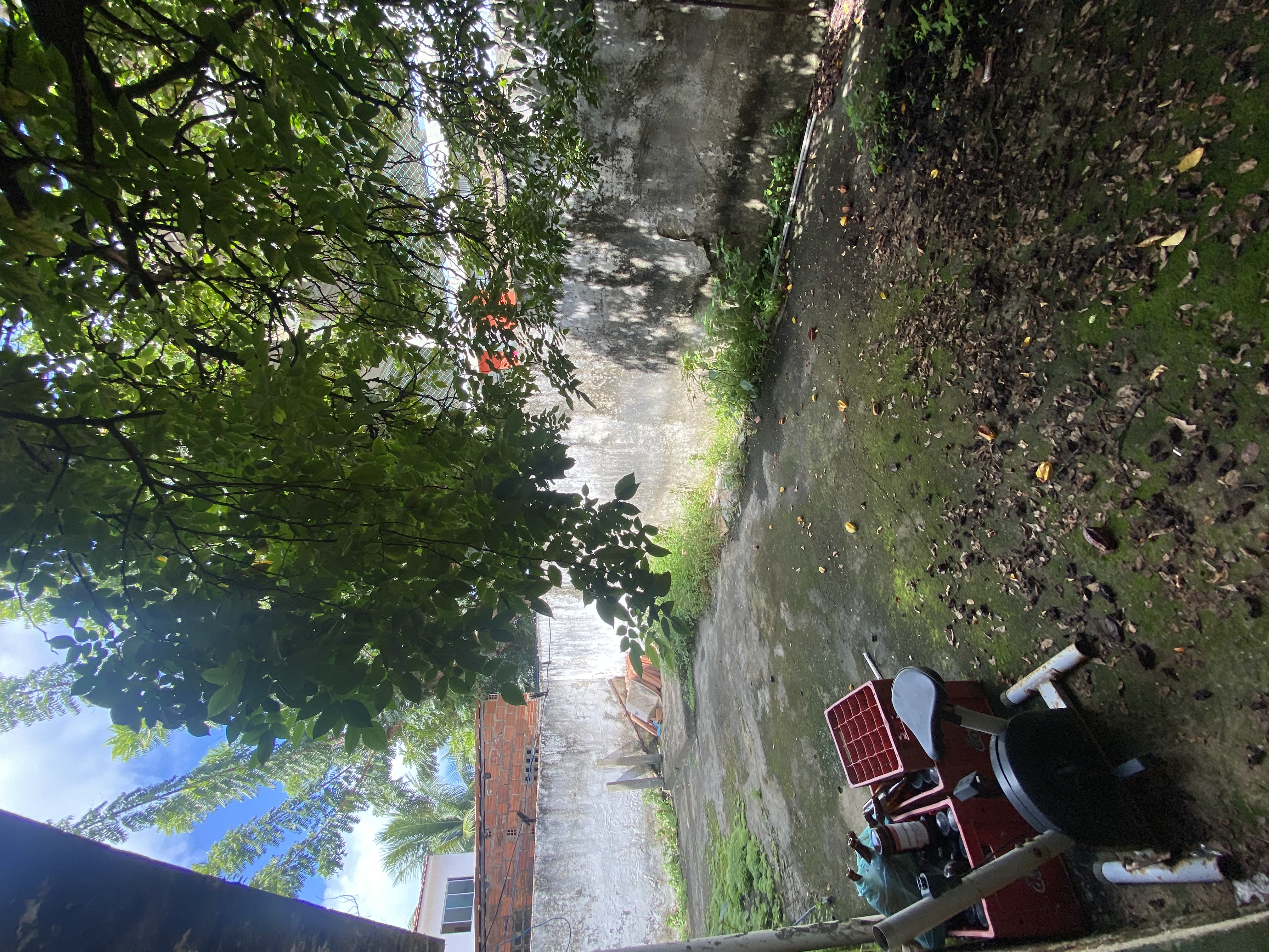 Imagem Casa com 5 Quartos para Alugar, 270 m²em Pau Amarelo - Paulista