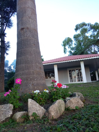 Chácara com 2 Quartos à Venda, 12.350 m² em RIBEIRÃOZINHO - Agudos do Sul