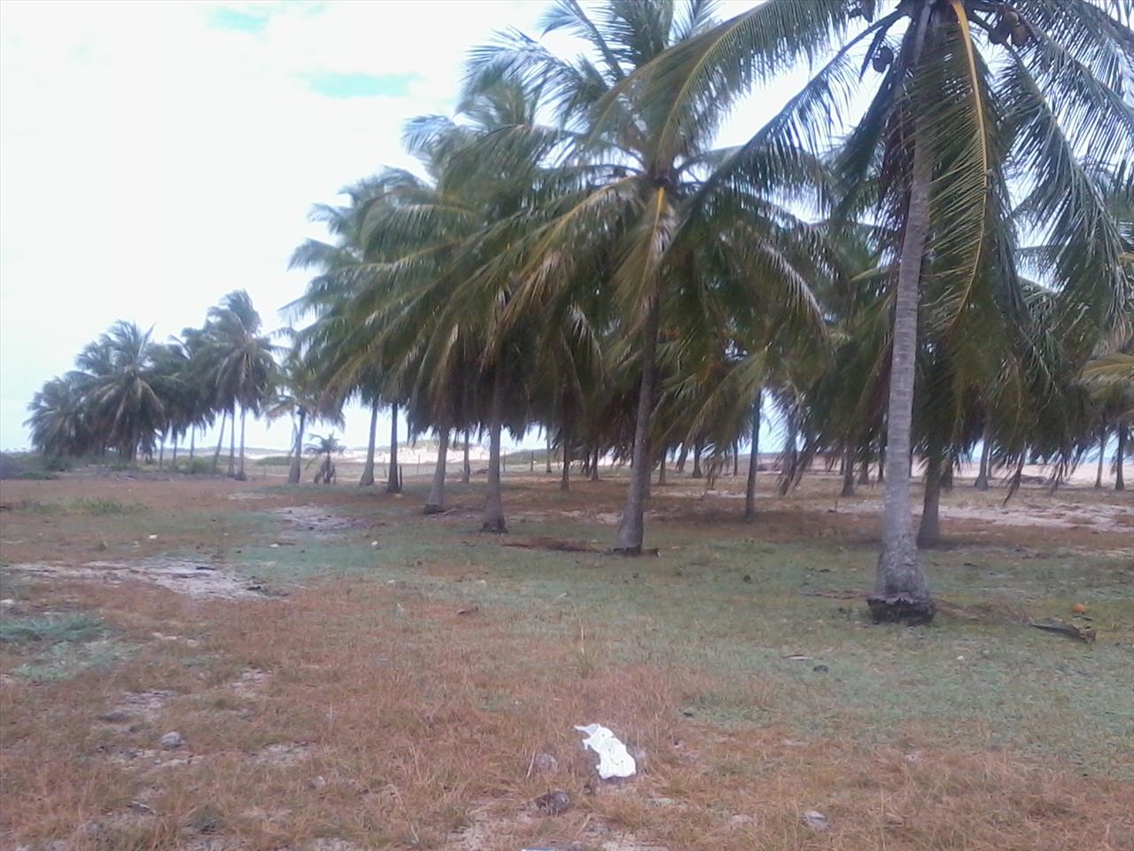Imagem Terreno à Venda, 168.640 metro em Praia de Pititinga - Rio do Fogo Imagem Terreno à Venda, 168.640 metro em Praia de Pititinga - Rio do Fogo