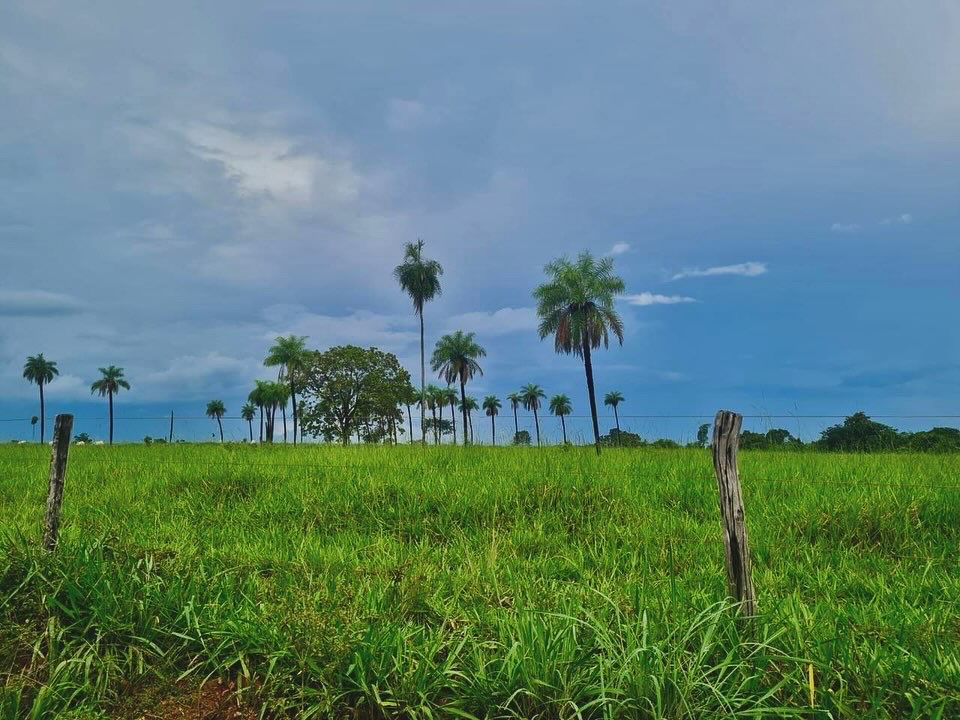 Imagem Fazenda à Venda, 1115 m² em ZONA RURAL - Mundo Novo Imagem Fazenda à Venda, 1115 m² em ZONA RURAL - Mundo Novo