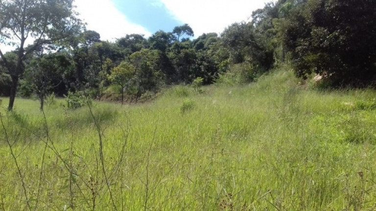 Imagem Terreno à Venda, 20.000 m² em Jardim Brasília - São Roque