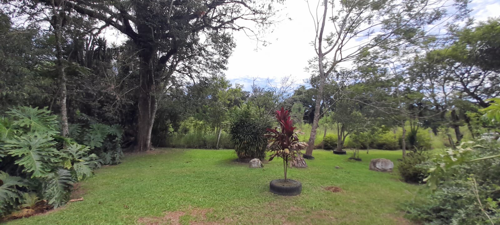 Imagem Chácara com 3 Quartos à Venda, 83 m²em Ponte Alta - Prudentópolis