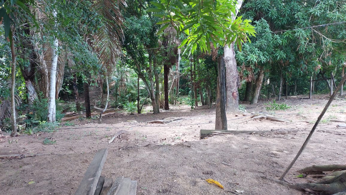Imagem Fazenda à Venda, 9 Alq MGem Nova Marabá - Marabá Imagem Fazenda à Venda, 9 Alq MGem Nova Marabá - Marabá