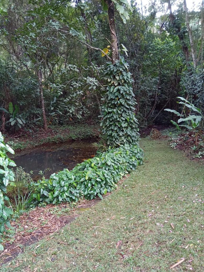 Imagem Chácara com 3 Quartos à Venda, 30 m²em Área Rural de Itabira - Itabira