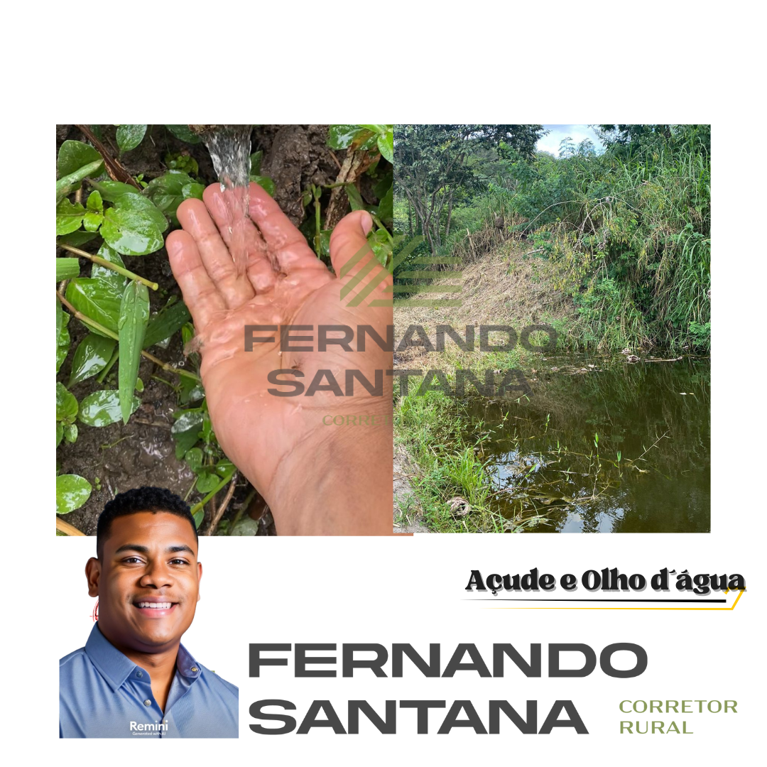 Imagem Fazenda à Venda, 3 HAem Centro - Areia Imagem Fazenda à Venda, 3 HAem Centro - Areia
