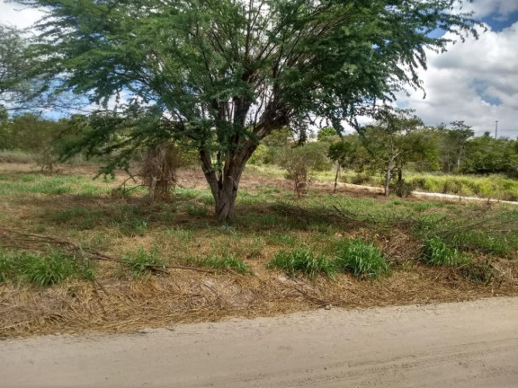 Imagem Terreno em Condomínio à Venda, 4.000 m² em Zona Rural - Bonito Imagem Terreno em Condomínio à Venda, 4.000 m² em Zona Rural - Bonito