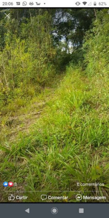 Imagem Terreno à Venda, em Belvedere - Urussanga Imagem Terreno à Venda, em Belvedere - Urussanga