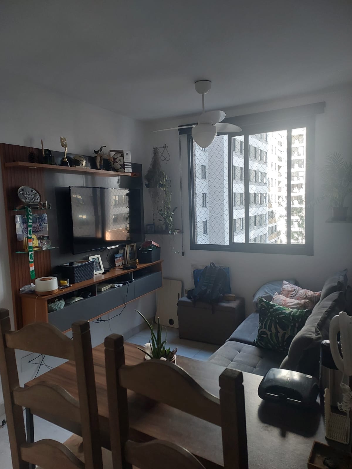 Imagem Apartamento com 2 Quartos para Alugar, 34 m² em Butantã - São Paulo