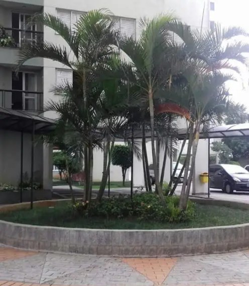 Imagem Apartamento com 3 Quartos para Alugar, 72 m² em Jardim Vila Formosa - São Paulo Imagem Apartamento com 3 Quartos para Alugar, 72 m² em Jardim Vila Formosa - São Paulo
