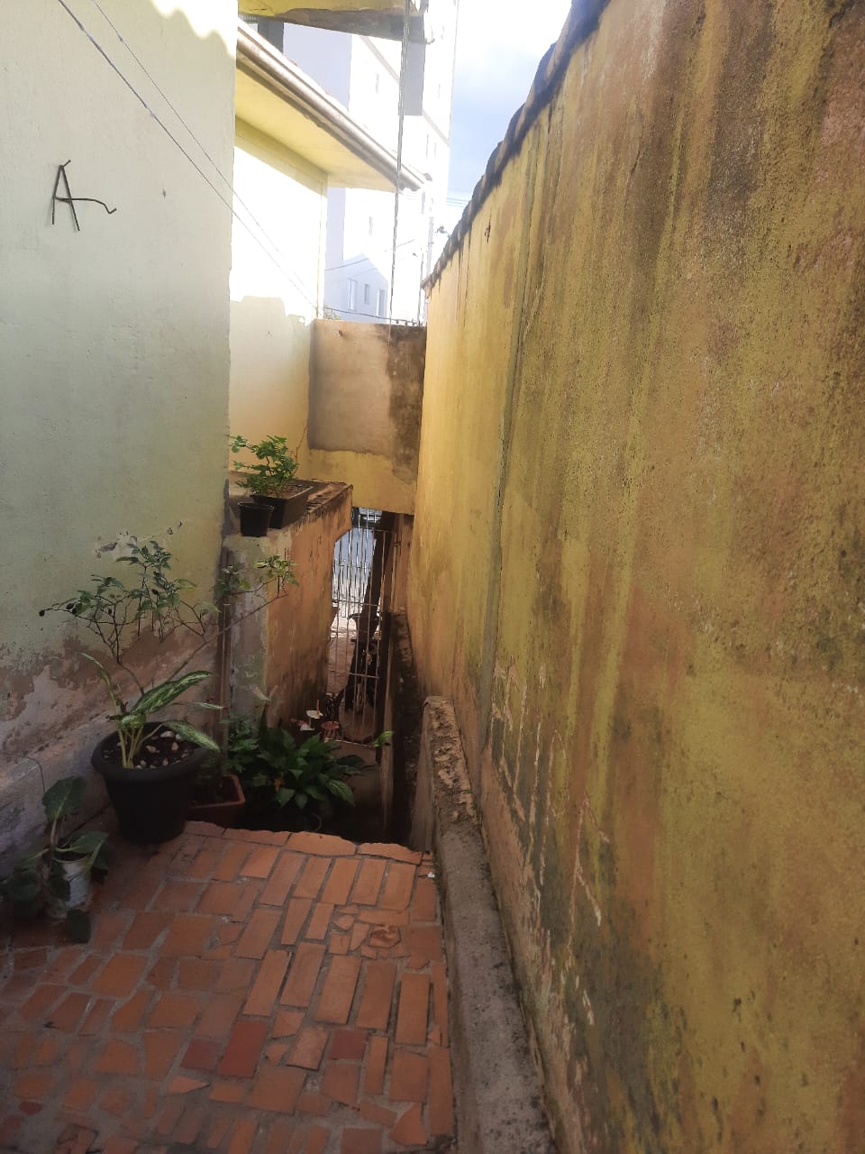 Imagem Sobrado com 3 Quartos à Venda, 153 m²em Jardim Vila Galvão - Guarulhos