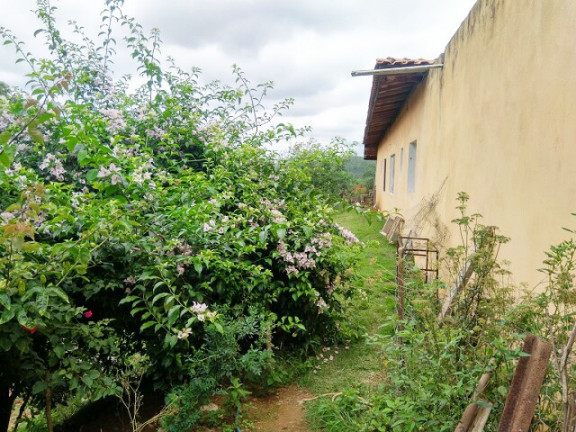 Imagem Chácara com 3 Quartos à Venda, 3 m² em Jardim Zaira - Mauá Imagem Chácara com 3 Quartos à Venda, 3 m² em Jardim Zaira - Mauá
