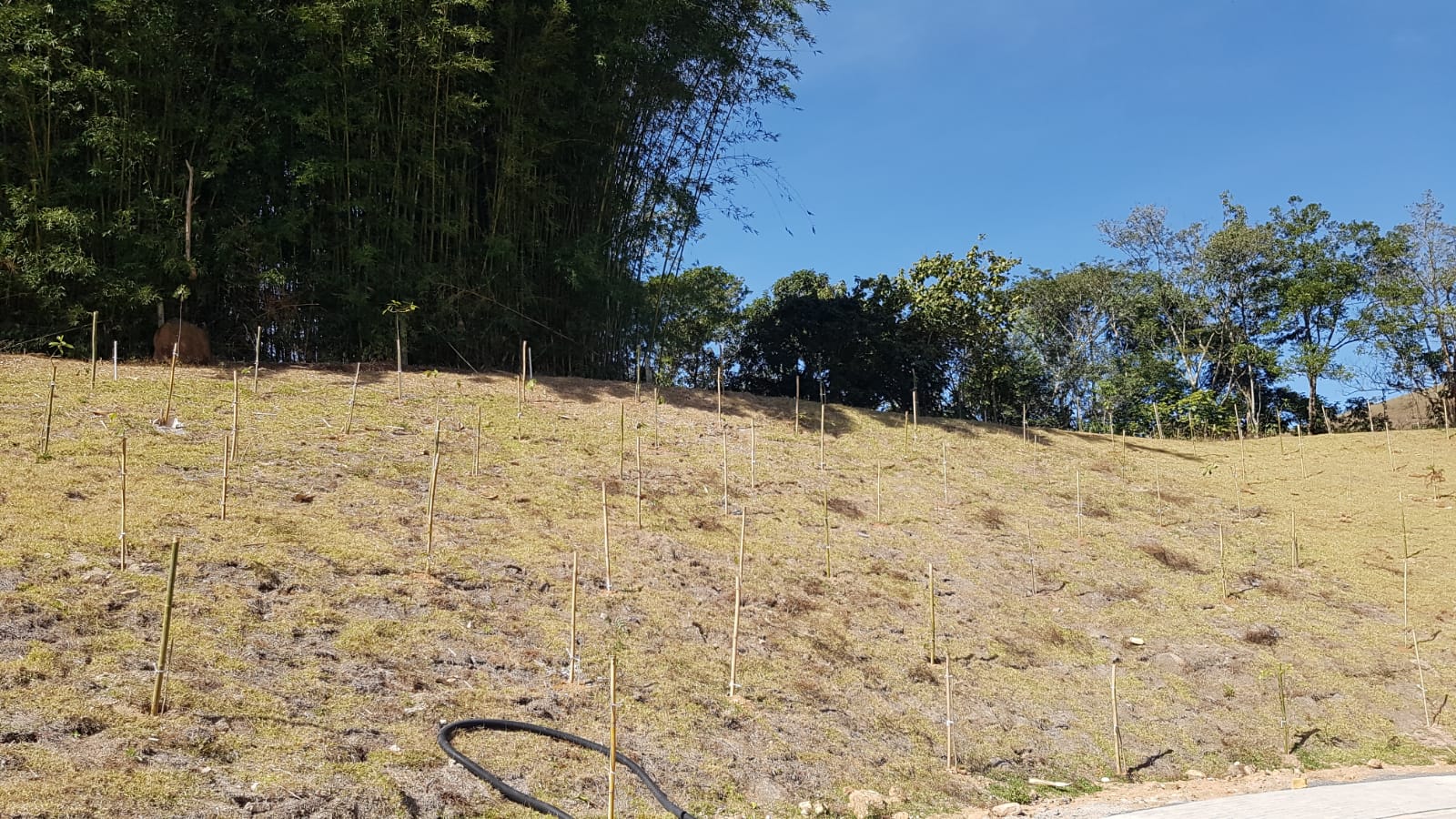 Imagem Terreno à Venda ou Temporada, 450 m²em São Francisco Xavier - São José dos Campos Imagem Terreno à Venda ou Temporada, 450 m²em São Francisco Xavier - São José dos Campos