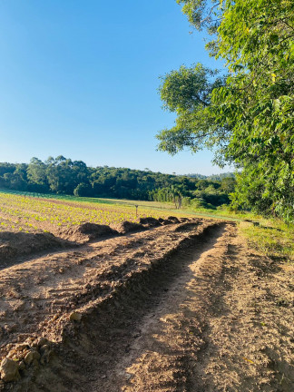 Imagem Terreno à Venda, 1.000 m² em Campo Verde - Ibiúna Imagem Terreno à Venda, 1.000 m² em Campo Verde - Ibiúna