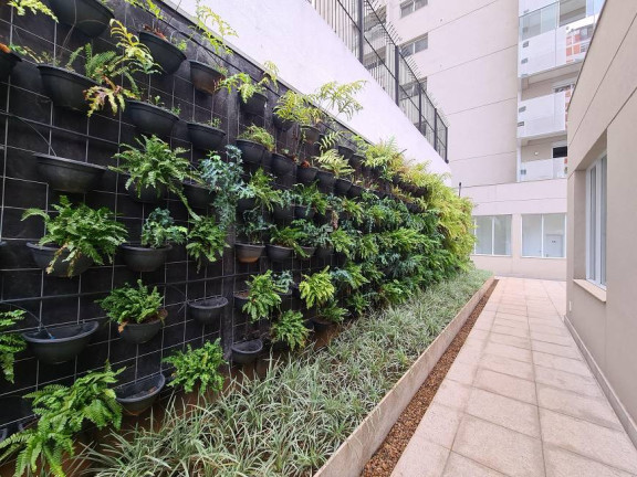 Imagem Apartamento com 3 Quartos à Venda, 240 m²em Cerqueira César - São Paulo