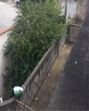 Imagem Sobrado com 3 Quartos à Venda, 238 m² em Vila das Belezas - São Paulo