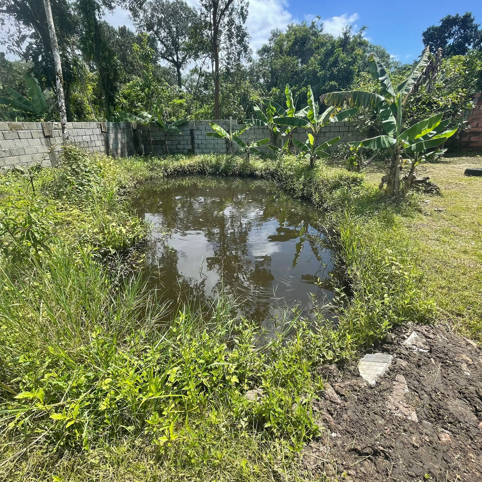 Imagem Chácara com 2 Quartos à Venda, 60 m²em Balneário Gaivota - Itanhaém Imagem Chácara com 2 Quartos à Venda, 60 m²em Balneário Gaivota - Itanhaém