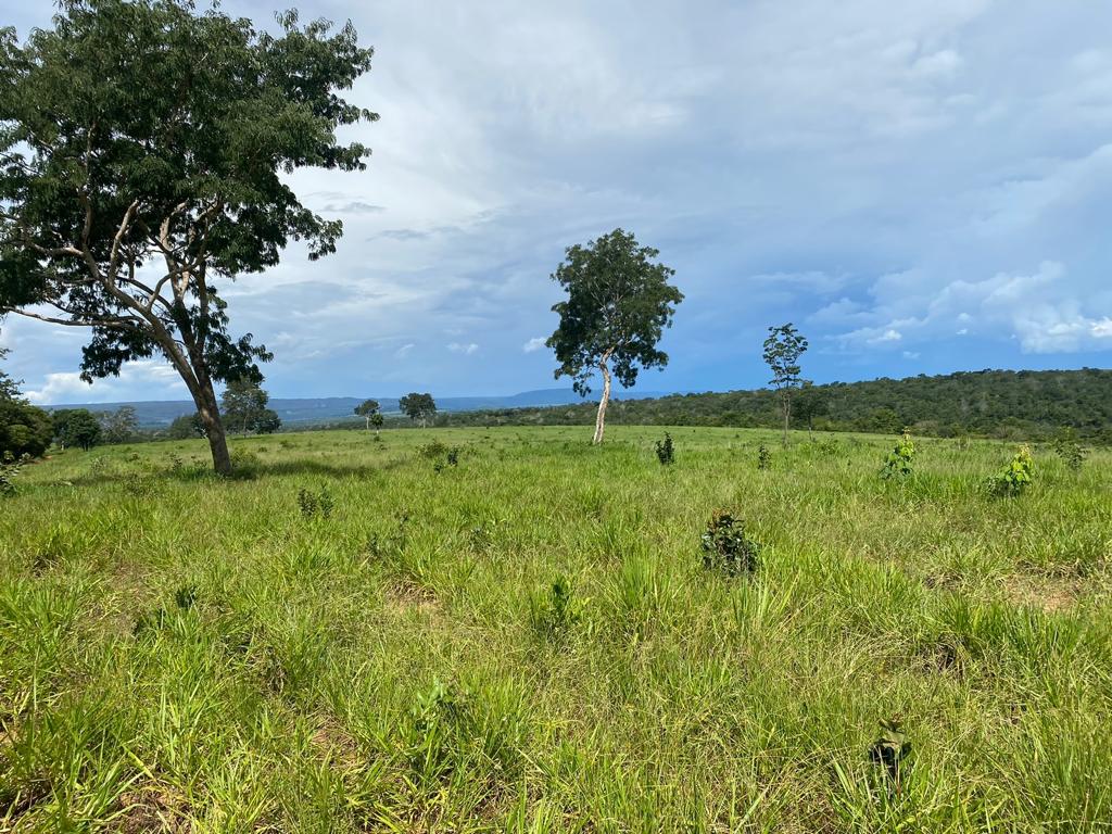 Imagem Fazenda à Venda, 100 Alq GOem ZONA RURAL - Pontal do Araguaia Imagem Fazenda à Venda, 100 Alq GOem ZONA RURAL - Pontal do Araguaia