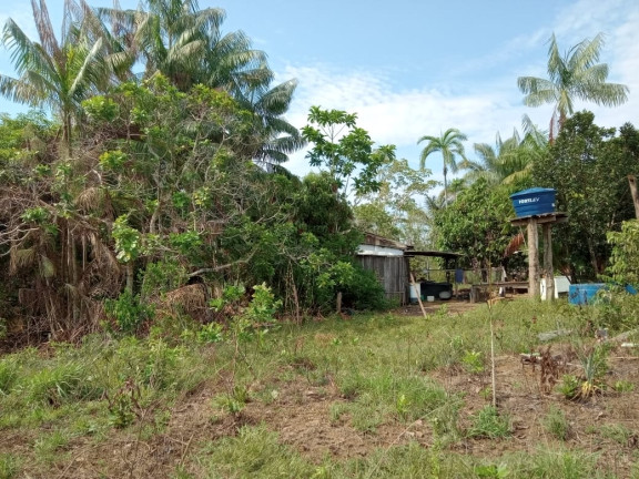 Imagem Terreno à Venda, 2.000 m² em Zona Rural - Humaitá Imagem Terreno à Venda, 2.000 m² em Zona Rural - Humaitá